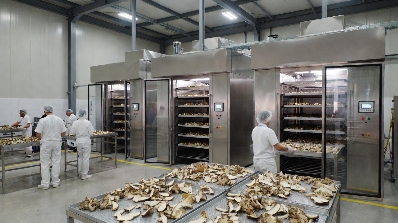 Nature and Industry 5